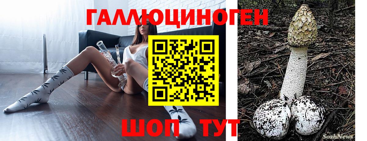 Псилоцибиновые грибы мицелий  Вход с VPN  Трёхгорный  Псилоцибиновые грибы MAGIC MUSHROOMS 