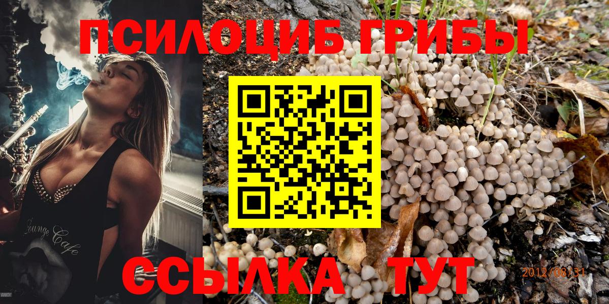 Галлюциногенные грибы мухоморы Трёхгорный